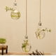 thumbnail image 2 of Bombilla de luz transparente, florero colgante de vidrio, botella, terrario, contenedor hidropónico, flor, bricolaje, decoración de la boda del hogar 1/2/3 piezas Vogacara JJ16976-03B, 2 of 6