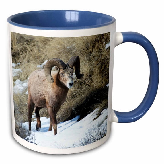 3drose, Rocky Mountain Bighorn Sheep Ram., 15oz Two-tone Blue Mug