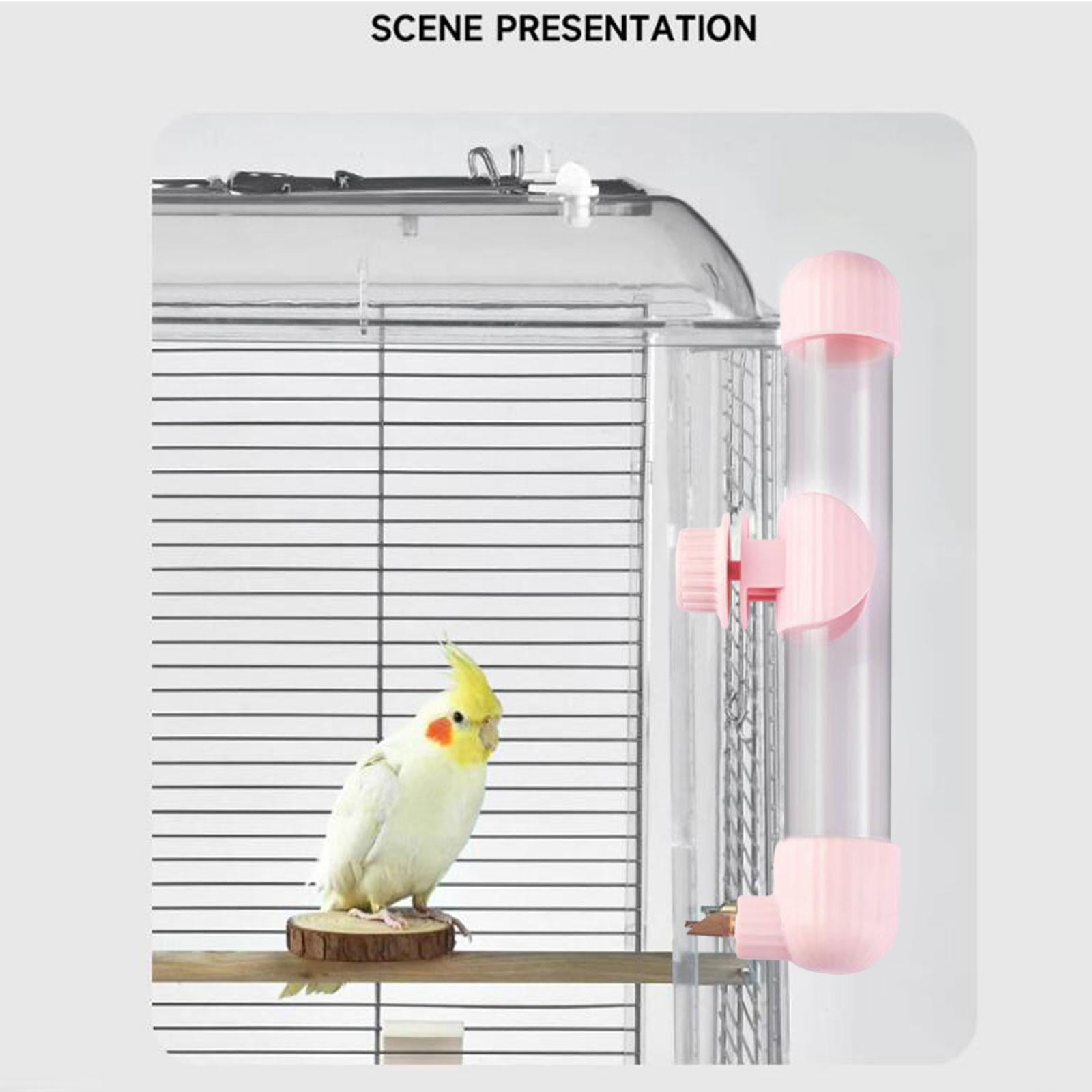 Abreuvoir Anti-éclaboussures Pour Oiseaux – Réservoir Transparent à Double Bec Pour Cage, Poules, Perruches