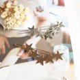thumbnail image 4 of SPRING PARK Women Star Hair Clip Classic Cut Out Open Star Barrette Hair Clip Hair Pin Metal Hairpin, 4 of 8