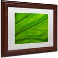 thumbnail image 2 of Trademark Fine Art "Green Elephant Ear Abstract" Canvas Art by Kurt Shaffer White Matte, Wood Frame, 2 of 4