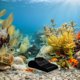 thumbnail image 4 of CHICHUMID Cueva Decorativa Para Acuario Con Refugio Para Camarones Y Peces, 4 of 8