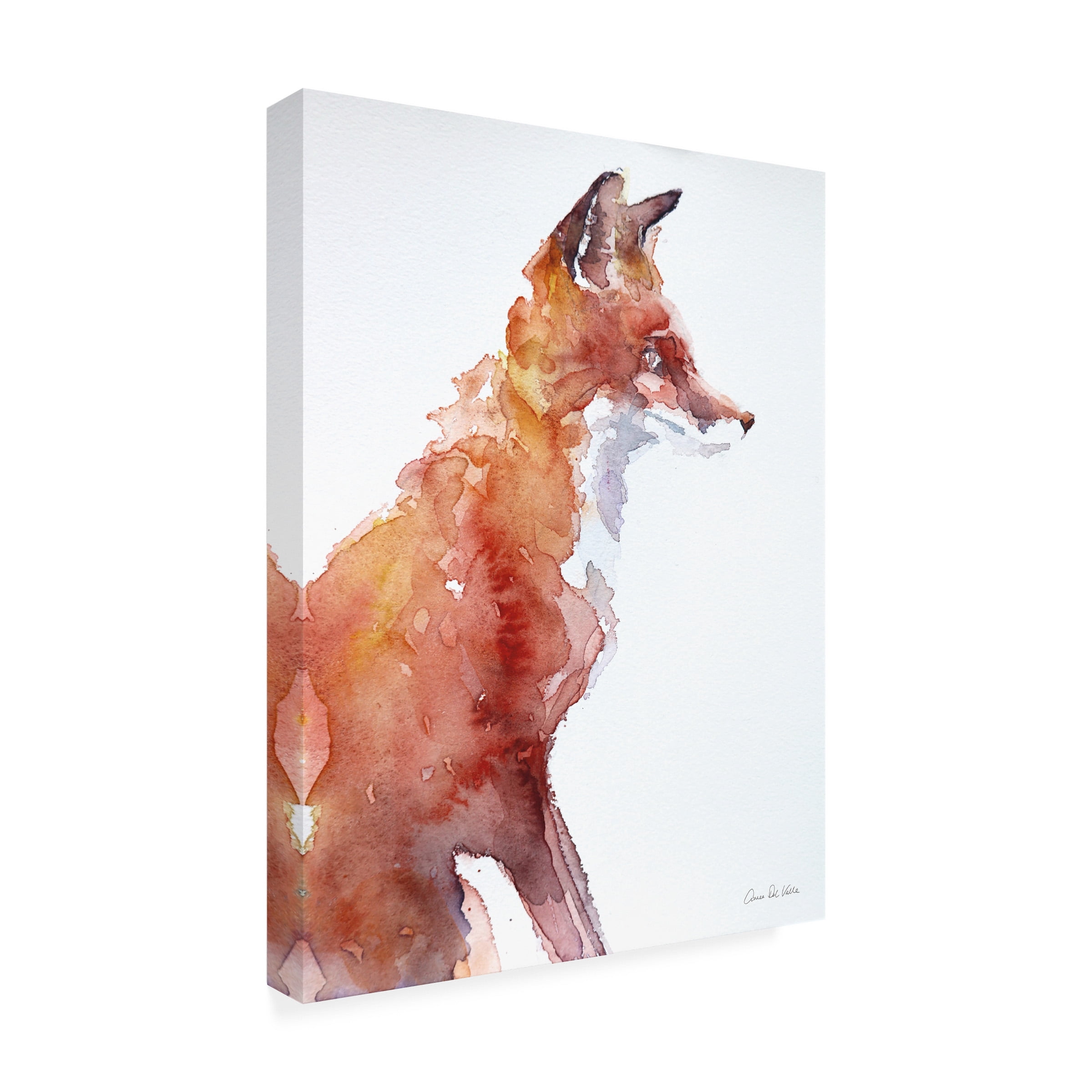 Trademark Fine Art 'Sly Fox' Canvas Art by Aimee Del Valle