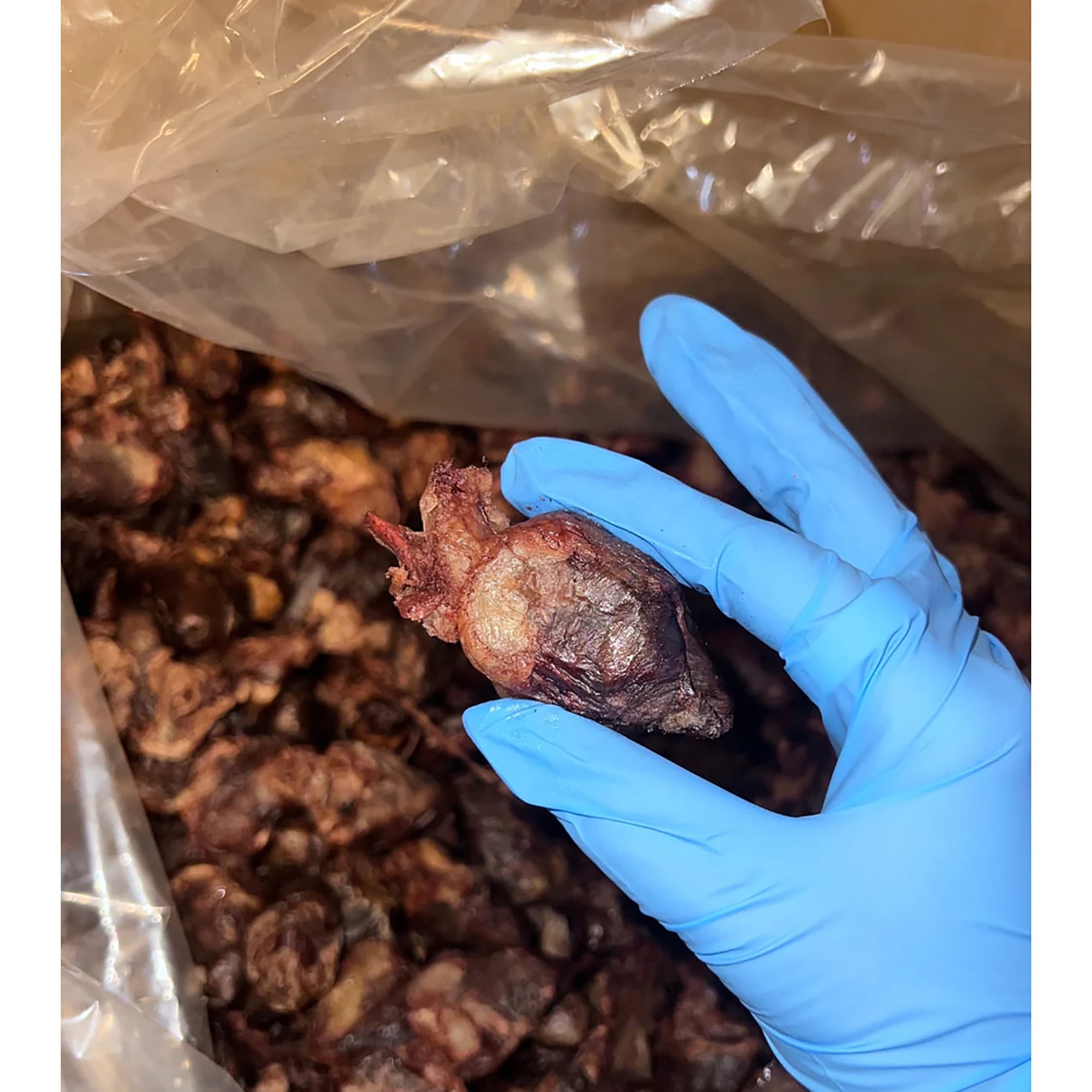 Pet Popcorn: Freeze-Dried Raw Treats - Duck Heart - 2.5oz Bag, Dog & Cat Snacks, Single Ingredient, Natural, Pet Food Topper, Protein‑Packed Meat