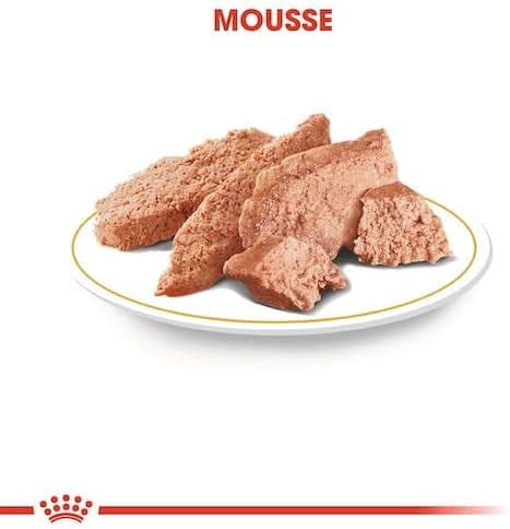 Royal Canin Poodle Dog Wet Food 12x85g