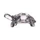thumbnail image 1 of Estatua de tortuga Colección de figuras de tortuga Colección de manualidades de escritorio Figura de animal M, 1 of 9
