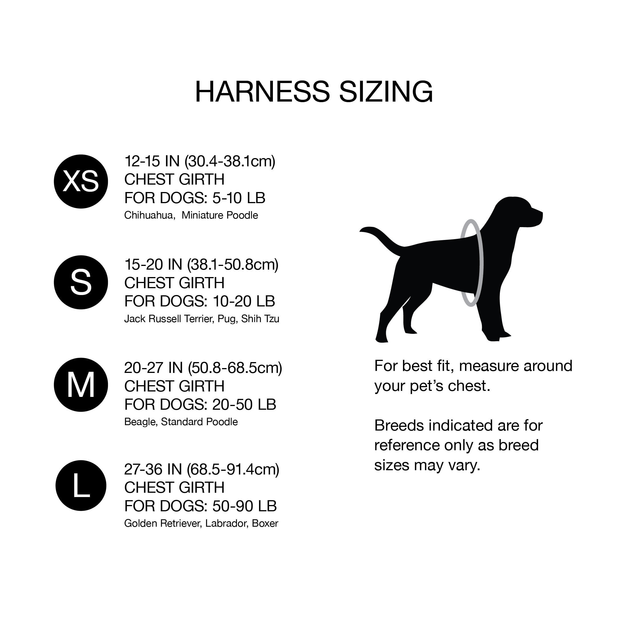 Packed Party Birthday Candles Dog Harness, Large