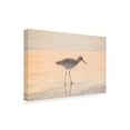 thumbnail image 2 of Blue Palomino 'Good Morning Piper' Canvas Art, 2 of 3