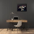 thumbnail image 4 of Krahmer, Frank 24x19 Black Modern Framed Museum Art Print Titled - Mute swan, Munich, Germany, 4 of 5