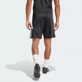 thumbnail image 4 of Shorts De Entrenamiento Tiro 24 Ip1951 adidas, 4 of 8