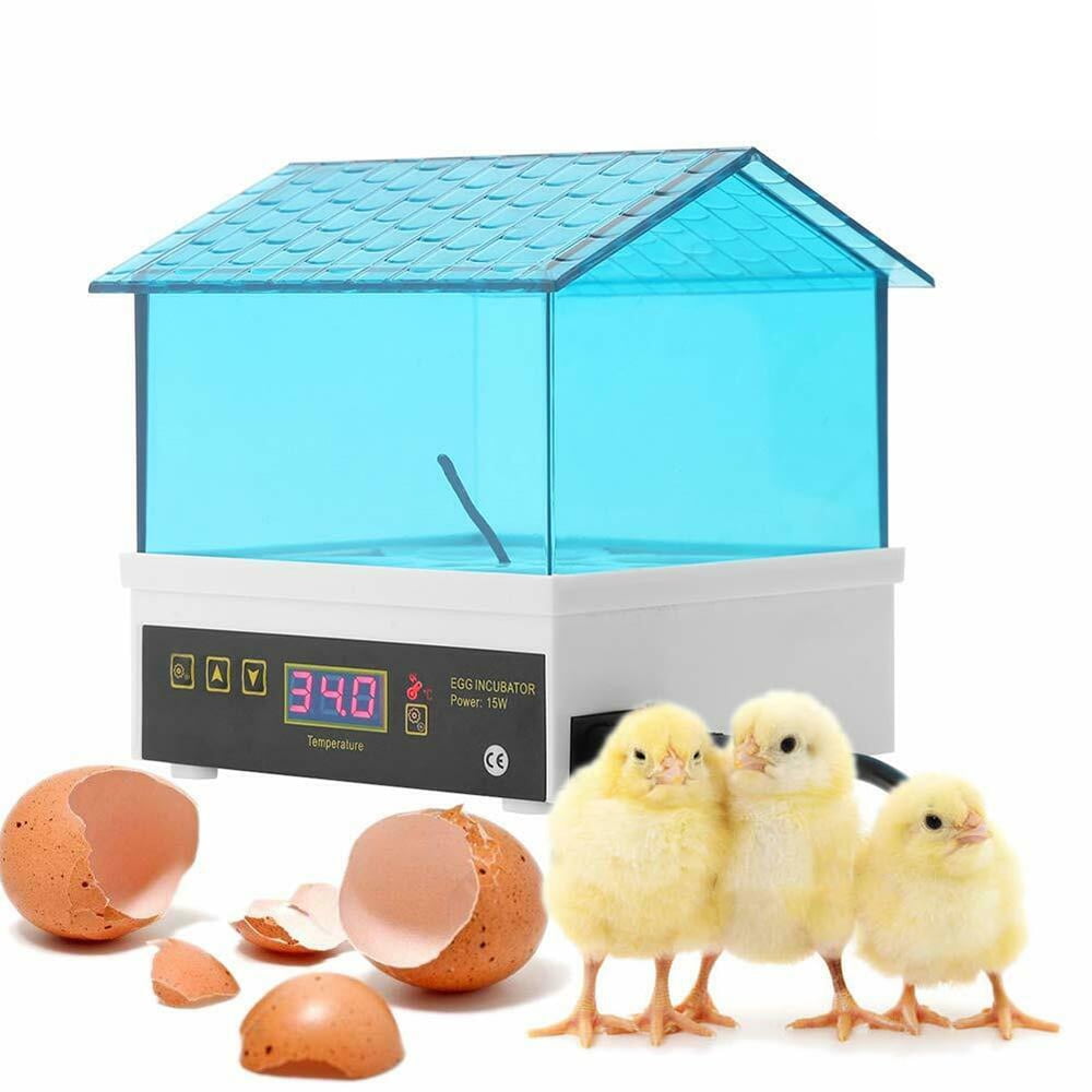 CJC Incubators | Clear Egg Incubator, 4 Eggs Mini Household Incubator ...