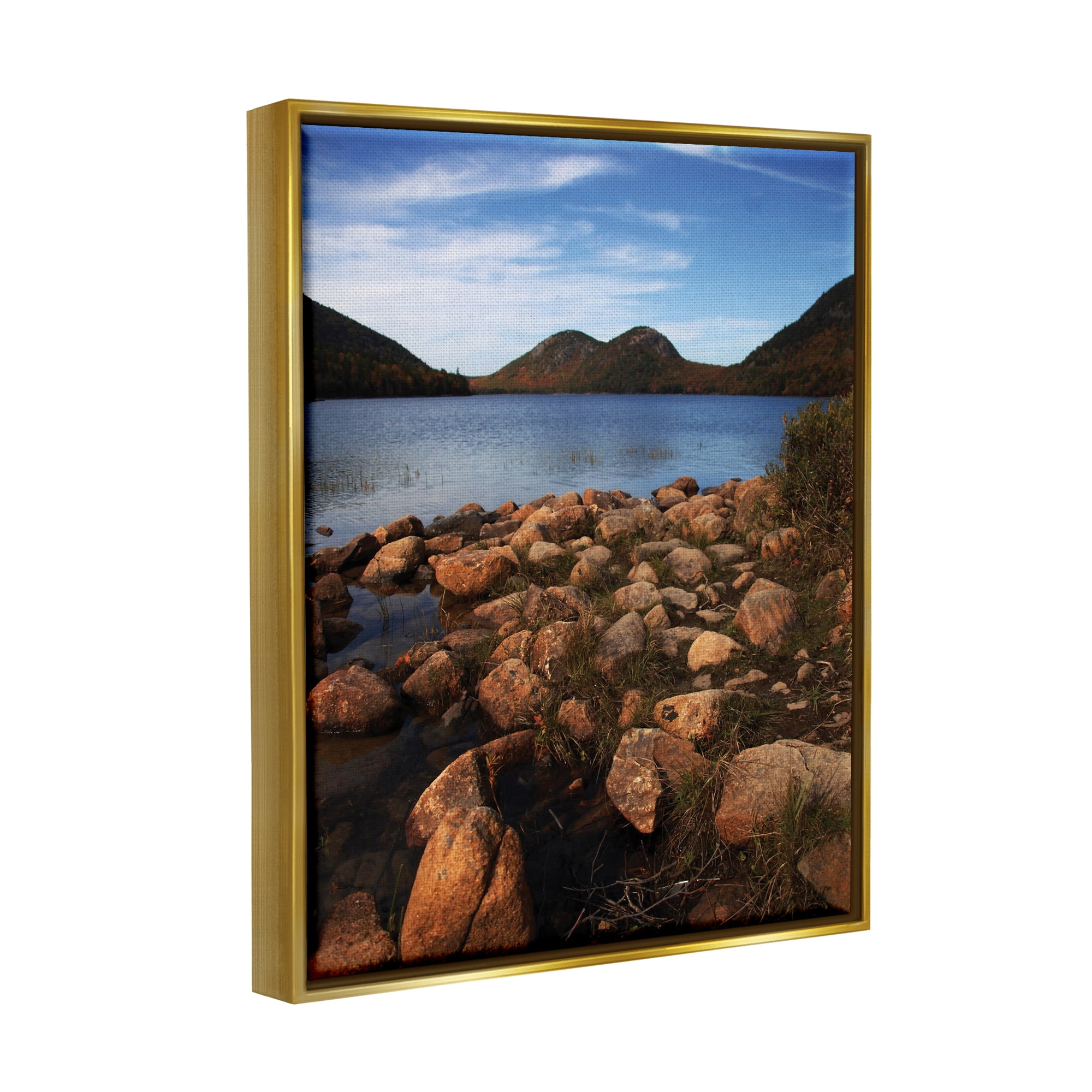 Stupell Industries Acadia Pond Photography Nature Photography Gold Floater Framed Art Print Wall Art, 25 x 31