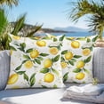 thumbnail image 4 of Summer Lemon Outdoor Pillow Covers Pack of 2 Leaf Yellow Fruit Countryside Watercolor Flower Waterproof Throw Pillow Covers Decorative Cushion Cases for Patio Garden Tent Balcony Couch 26x26 inch, 4 of 8