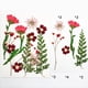 thumbnail image 4 of 13 plantas con flores secas para envoltorios de regalo, accesorios de arte y joyería de resina epoxi. rojo, 4 of 9