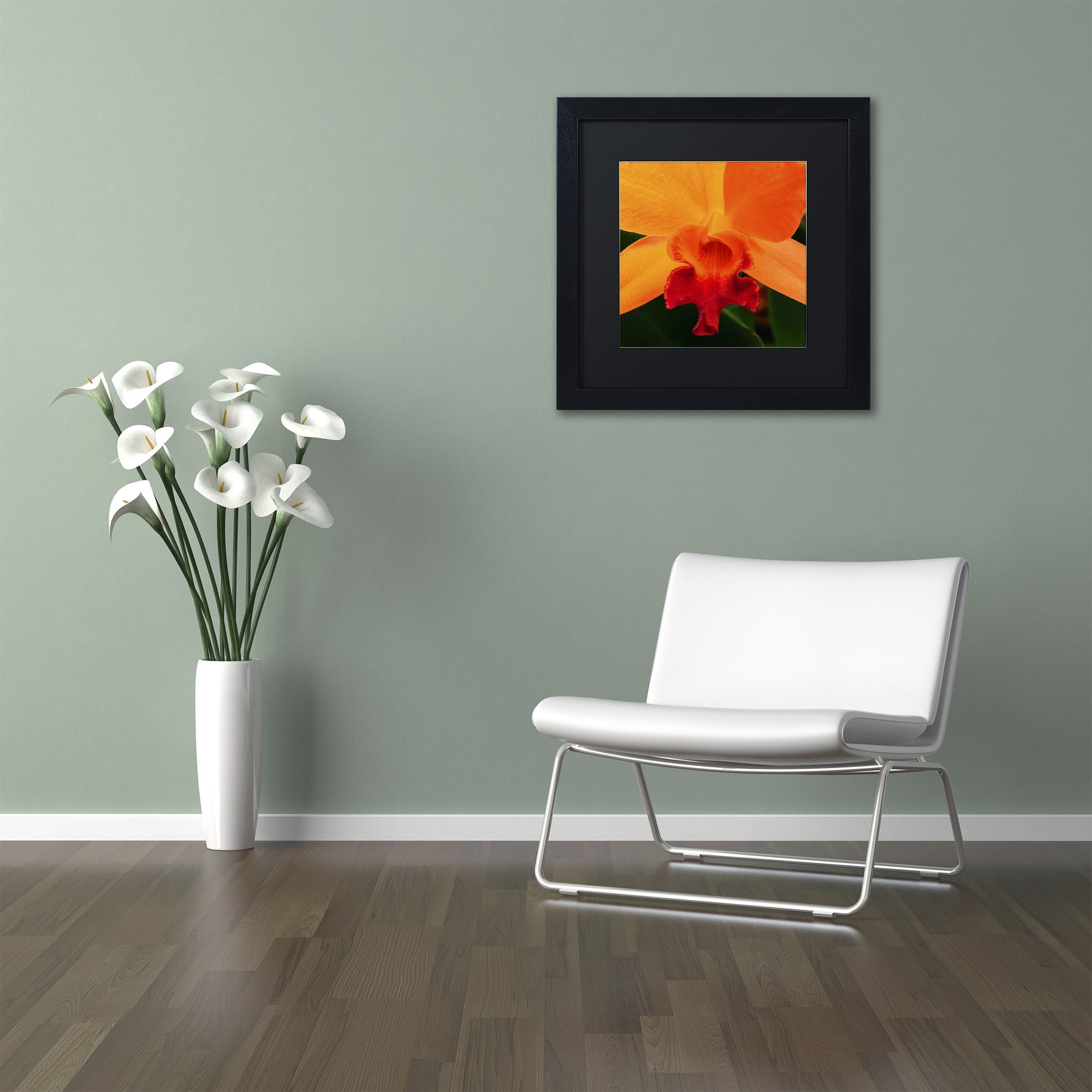Trademark Fine Art "Brilliant Orchid on Fire" Canvas Art by Kurt Shaffer Black Matte, Black Frame