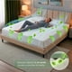 thumbnail image 5 of SNOOZELLE COMFORT Colchón Queen Size Memory Foam de Té Verde en Caja, 25cm de Alto, Firmeza Media, Esencia Natural Relajante, Alivia Puntos de Presión, Ayuda a conciliar el sueño (152x203x25), 5 of 8