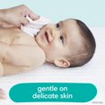 thumbnail image 4 of Pampers Baby Clean Wipes Fragrance Free, 9 Flip-Top Pack (720 Wipes Total), 4 of 9