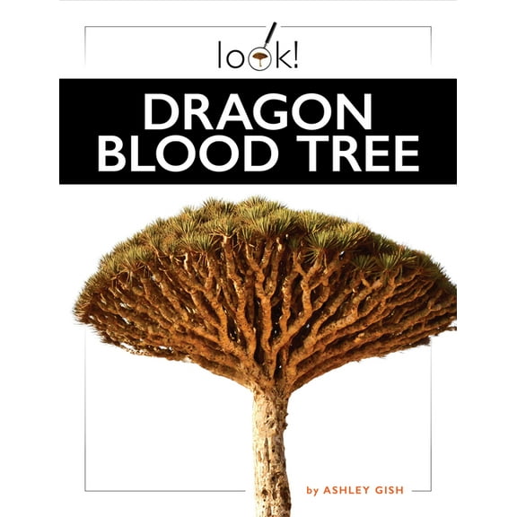 Dragon Blood Tree, (Paperback)
