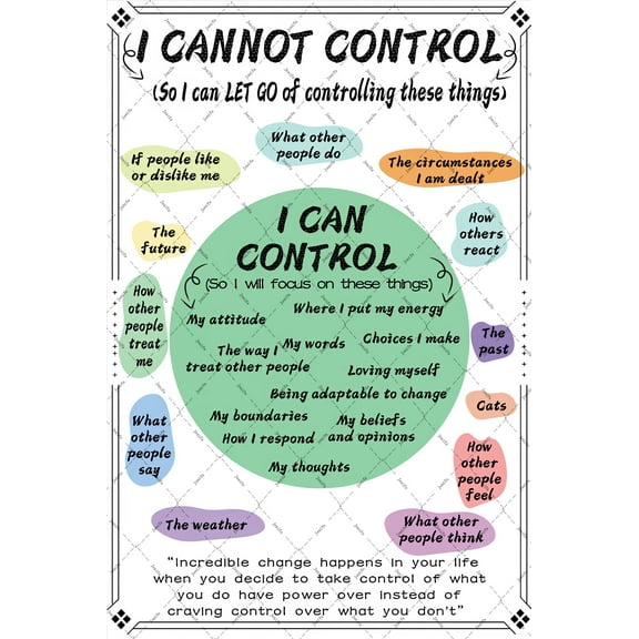Jenifu Mental Health Wall Decor What I Can And Cannot Control Metal Tin Sign Positive Poster Motivational Wall Art Decor Inspirational Size: 12 x 16 inch
