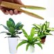thumbnail image 3 of Pinzas para limpiar hojas, pinzas para limpiar hojas de plantas, limpiador de pelusas de hojas de plantas con mango de madera, limpieza de hojas, 3 of 5