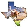 thumbnail image 6 of Next Innovations Texas Indoor/Outdoor Metal Wall Art, 6 of 11