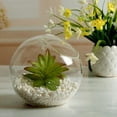 thumbnail image 2 of Dewadbow Clear Round Glass Flower Hanging Vase Ball Planter Terrarium Bottle, 2 of 6