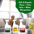 thumbnail image 6 of Cedarcide All-Purpose Bug Spray - Peppermint (Pint) | Insect Repellent For People, Plants, Homes, and Pets | Made with Pure Essential Oils and Plant-Based Ingredients, 6 of 6