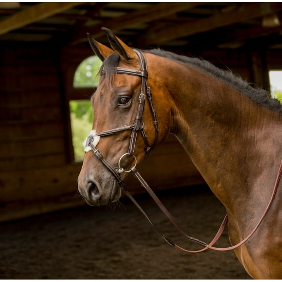 Shires Avignon Woodside Bridle Full