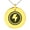 Gold, variant on Stainless Steel Electric Element Rune Engraved Small Medallion Circle Charm Pendant Necklace