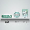 thumbnail image 5 of Breath Savers Wintergreen Mints - 12 piece pks. - 24 ct. - SC, 5 of 6