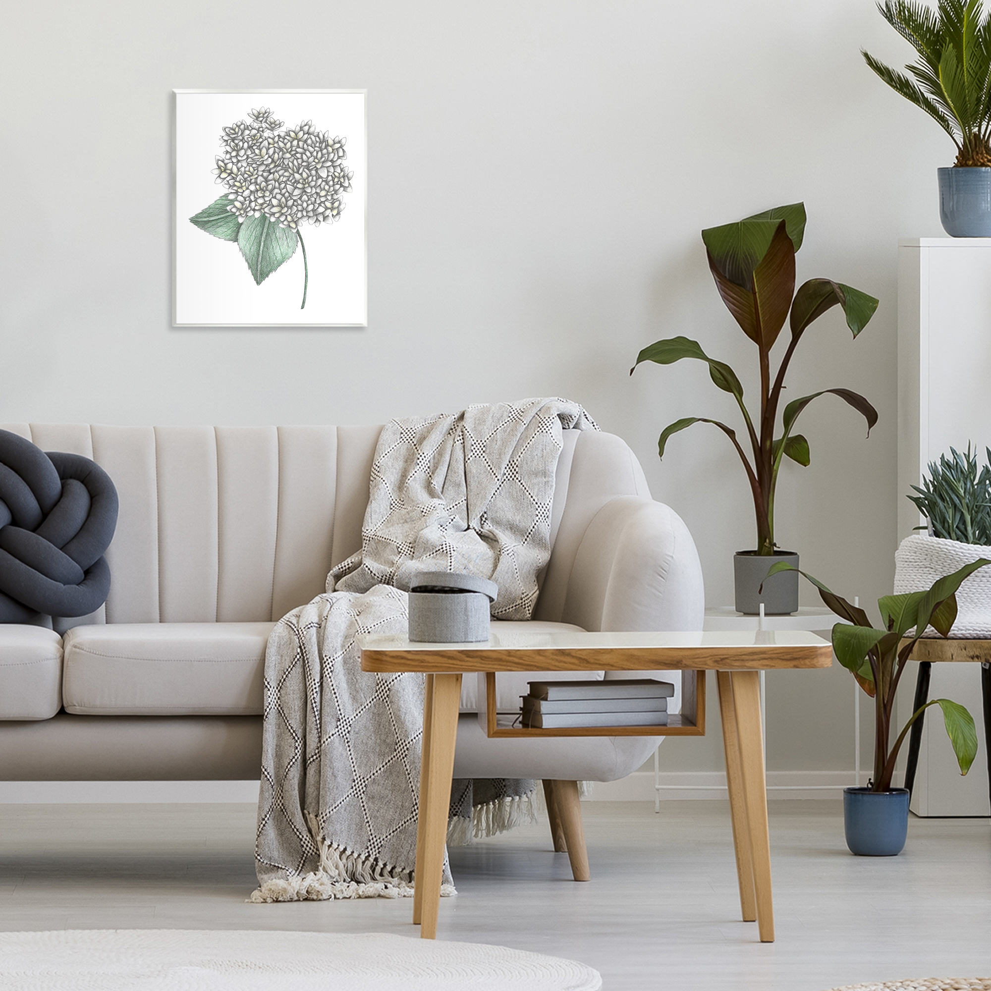 White Hydrangea Sketch Blossom Wall Plaque Art, design by Cecilia Battaini