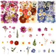 thumbnail image 5 of Flores prensadas para moldes de resina Nisetten 110+PCS Colorful-C, 5 of 5
