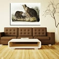 thumbnail image 3 of John James Audubon Painting American Beaver By Audubon Canvas Art Birds Framed Wall Art, 3 of 7