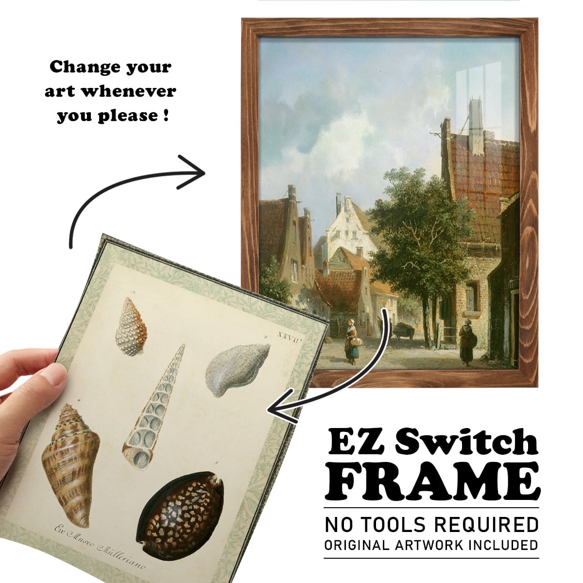 Bookplate Shells IX - Framed Print w/glass - Walnut