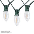 thumbnail image 2 of Danson Décor 25 C9 Vintage Look LED String Light, Warm White, 2 of 4