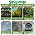 thumbnail image 2 of Mycorrhizal Fungi with Beneficial Bacteria, Trichoderma, Sea Kelp, Molasses, Yucca, Supercharge Plant Root Enhancer 2oz Super Concentrate Powder Makes 25 Gallons, 2 of 9