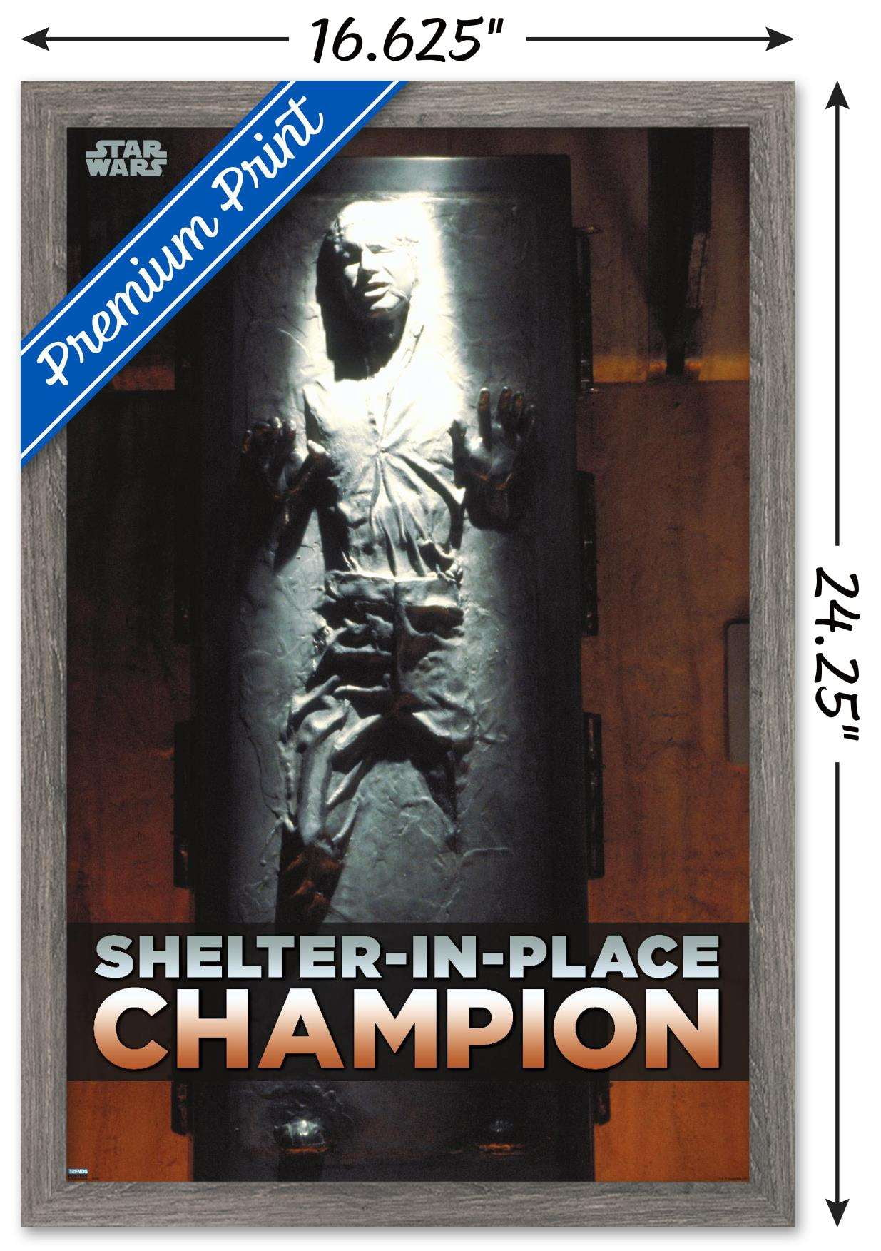 Star Wars: Saga - Han Solo - Shelter In Place Wall Poster, 14.725" x 22.375", Framed