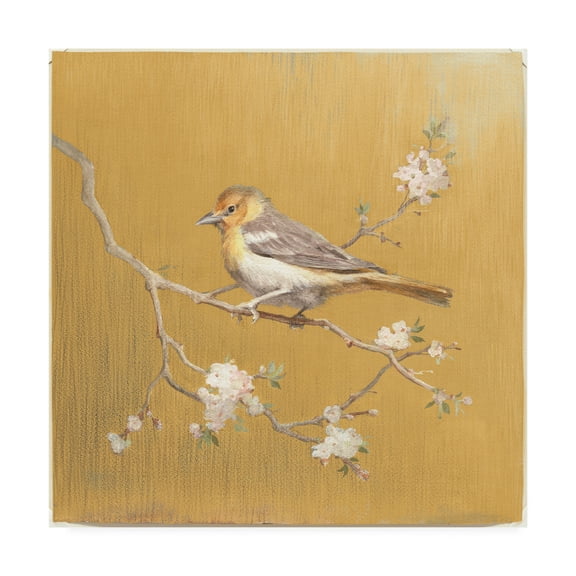Trademark Fine Art 'Northern Oriole on Gold' Canvas Art by Danhui Nai