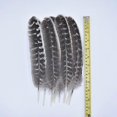 thumbnail image 5 of 10pcs/lot Real Natural Eagle Feathers For Decoration Crafts Turkey Pheasant Bird Owl Feather Decor Plumes Accessories Carnival, 5 of 5