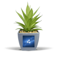 thumbnail image 1 of Kindhearted Beautiful Lucky Stars Fake Pineapple Flower Pot Vase Mini Decor, 1 of 3