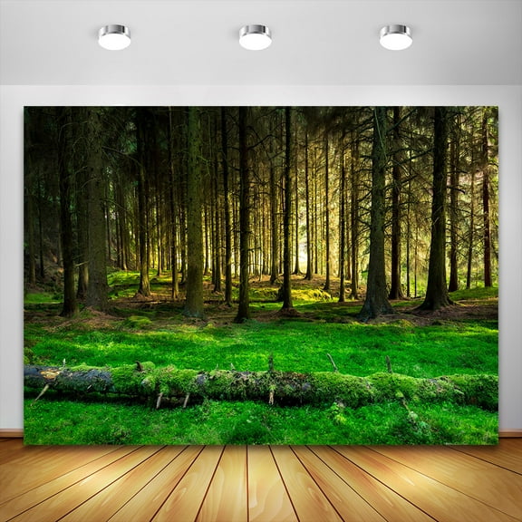 Scenic Mysterious Forest Trees Graslland Vinyl Backdrop For Photography Photo Background Photo Studio Children Portrait Phtoz