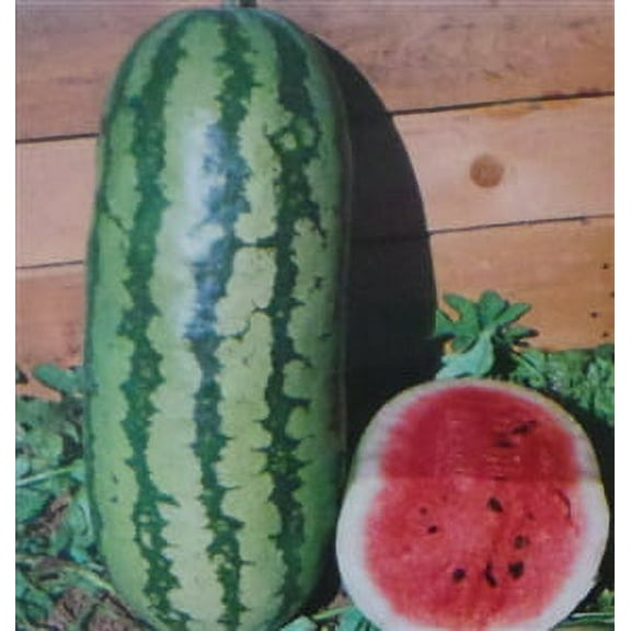 Seed Ranch Sweet Princess Watermelon Plant Seeds