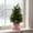 Pink, variant on BOSALY 2FT Artificial Christmas Cedar Tree with Bow Base, Realistic Mini Christmas Tree with Christmas Balls, Indoor Christmas Decorations for Table Room Porch, Christmas Home Decors (Pink)