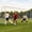 White-24x8FT, variant on SLSY Steel Soccer Goals, 18x7/21x7/24x8 ft Soccer Goals for Backyard, Full Size Soccer Goal for Teens & Adults Training