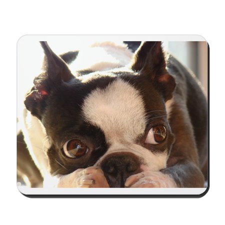 - CafePress - Adorable Jewels - Non-slip Rubber Mousepad, Gaming Mouse Pad