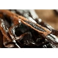 thumbnail image 4 of 5 LB Large Tahitian Vanilla Beans - Vacuum Sealed Grade B Vanilla Pods - 5-6 Inches - Premium Flavor for Baking, Homemade Extract, Vanilla Paste, Brewing, Coffee, and Cooking, 4 of 6