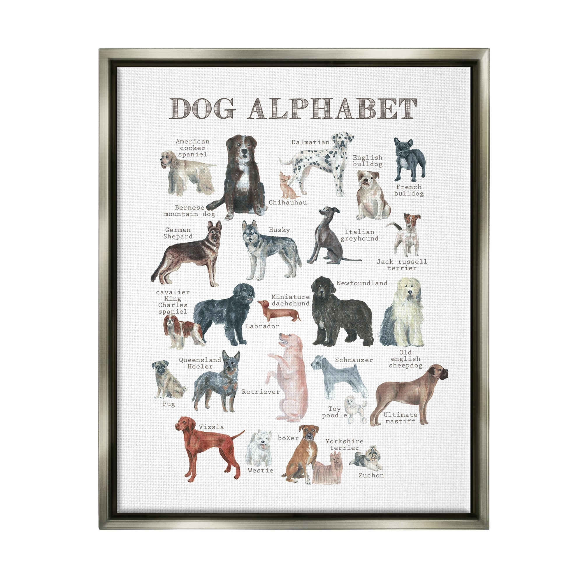 Stupell Industries Dog Alphabet Multiple Breeds Educational Animals Chart Graphic Art Luster Gray Floating Framed Canvas Print Wall Art, Design by Dishique