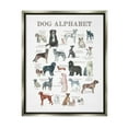 thumbnail image 3 of Stupell Industries Dog Alphabet Multiple Breeds Educational Animals Chart Graphic Art Luster Gray Floating Framed Canvas Print Wall Art, Design by Dishique, 3 of 5