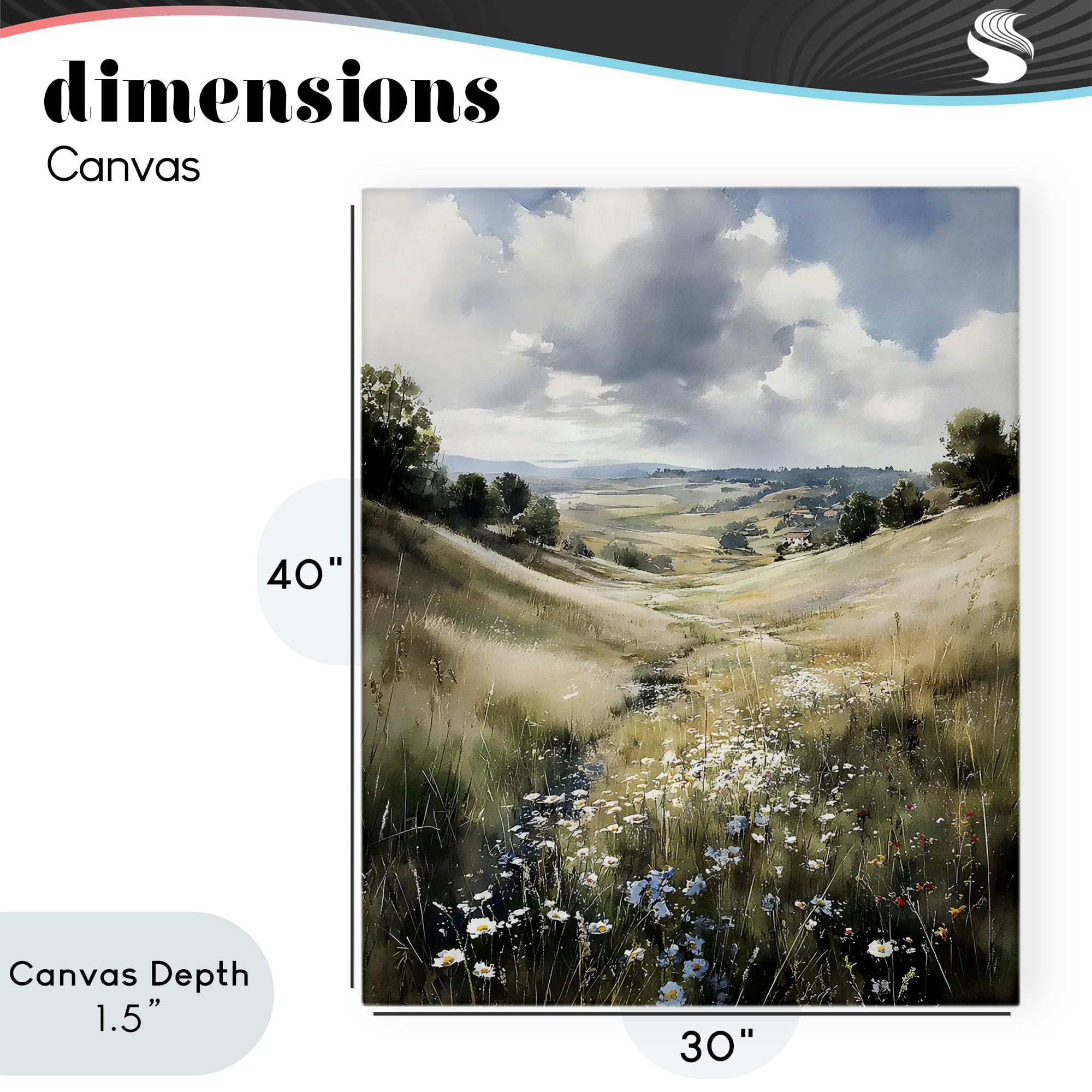 Stupell Industries Floral Valley of Wild Daisies Canvas Wall Art, design by Franklyn Gregory