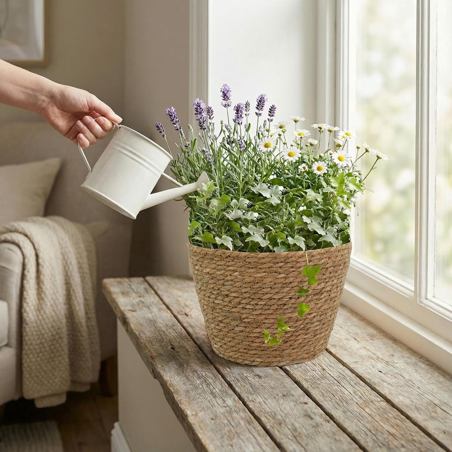 HoliHive 5 Pcs Large Premium Seagrass Planter Basket - Stylish Planter Baskets Woven Wicker Baskets with Plastic Lining for Indoor Outdoor Flower Plants Pots Cover Room Decor